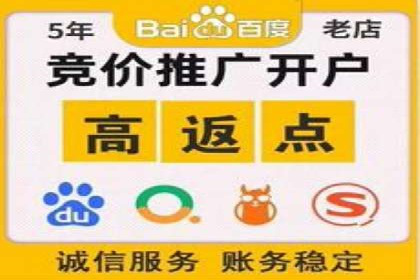 百度竞价赚钱案例：从零到月入过万